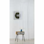 Bela prosojna zavesa 300x245 cm Voile – Mendola Fabrics