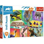 Trefl Puzzle 200 - V exotickom svete