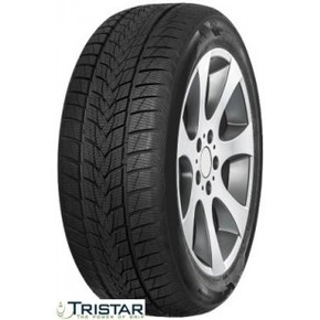 Tristar zimska pnevmatika 255/45R19 Snowpower