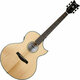 Schecter Orleans Stage Acoustic Natural Satin