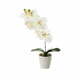 Umetna rastlina Orchid – Casa Selección