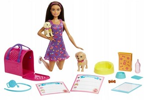 Mattel Lutka Barbie s pravljičnimi oblekami HKD86