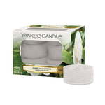 WEBHIDDENBRAND Čajne sveče Yankee Candle, Camellia cvet, 12 kosov