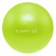 WEBHIDDENBRAND Lifefit Overball gimnastična žoga, zelena