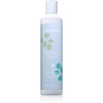 Echosline Balance+ Shampoo šampon za zdravo lasišče 300 ml