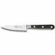 WEBHIDDENBRAND Kuchyňský nůž Lion Sabatier, 711080 Idéal Laiton, nůž na odřezky, čepel 10 cm z nerezové oceli, POM rukojeť, plně kovaný, mosazné nýty