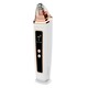 Beautifly B-Derma Ice