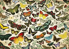 Jumbo Puzzle Plakat z metulji 1000 kosov