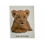 Rudolf Kolaž papir baby levček, 20 listov E-909850
