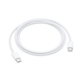 Apple USB polnilni kabel, 1m (MM093ZM / A)