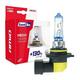 Halogenska žarnica Amio HB3 12 V 60 W LumiTec Limited +130 % DUO, 2 kosa