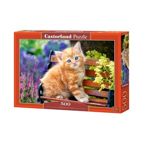 WEBHIDDENBRAND CASTORLAND Puzzle Ginger Kitten 500 kosov