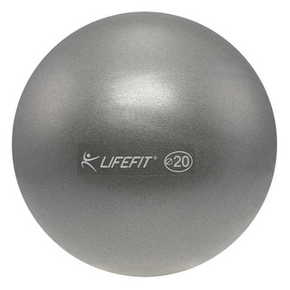 WEBHIDDENBRAND Lifefit Overball gimnastična žoga