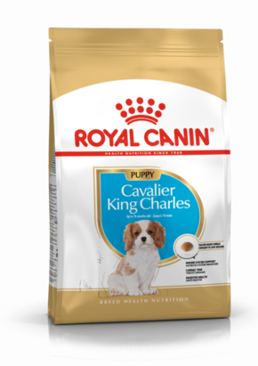 Extrastore Royal Canin BHN Cavalier King Charles Spaniel Puppy - suha hrana za pasje mladiče - 1
