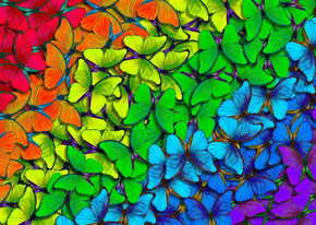 ENJOY Puzzle Mavrični metulji 1000 kosov