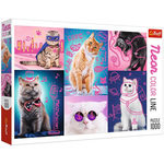 Trefl Puzzle Neon Color Line Super mačke 1000 kosov