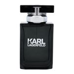 Karl Lagerfeld Karl Lagerfeld For Him toaletna voda 50 ml za moške