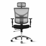 Ergovision Smart Basic