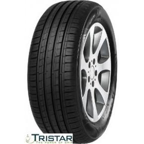 Tristar Ecopower4 ( 205/55 R16 91V )