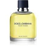 Dolce&amp;Gabbana Pour Homme toaletna voda za moške 125 ml