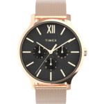 TIMEX TW2W19900