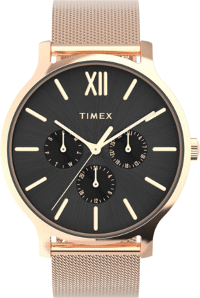 TIMEX TW2W19900