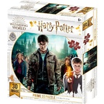 WEBHIDDENBRAND Harry Potter 3D sestavljanka - Harry, Hermiona in Ron 300 kosov