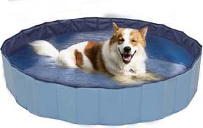 Croci Pool Explorer za pse - 160x30 cm