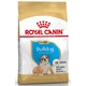 Royal Canin Bulldog Puppy pasji briketi za buldoge, za mladiče, 3 kg