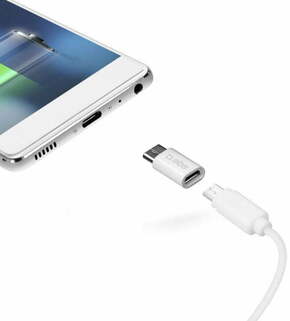 SBS adapter micro USB female Type C