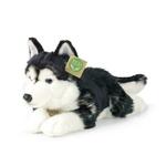 Plišasti pes husky 36 cm EKO-PRIJAZEN
