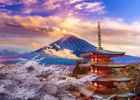 ENJOY Puzzle Gora Fuji spomladi