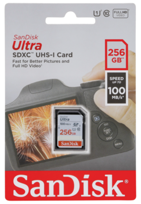 SanDisk SDHC 256GB spominska kartica