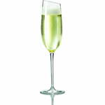 Kozarec za šampanjec Eva Solo, 200 ml