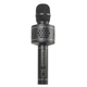 Teddies Mikrofon karaoke Bluetooth, na baterije, črn