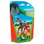 Playmobil Jockey , Jahalno dvorišče, 5 kosov