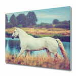 tulup.si Steklena podloga za rezanje White horse lake 2x30x52 cm