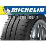 Michelin letna pnevmatika Pilot Sport Cup 2, XL 325/30R19 105Y
