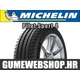 Michelin letna pnevmatika Pilot Sport 4, XL 245/45R19 102Y