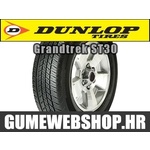 Dunlop celoletna pnevmatika Grandtrek ST30, 225/60R18 100H