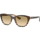 Burberry BE4486 420213 ONE SIZE (54) Rjava/Rjava