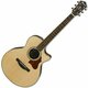 Ibanez AE205JR-OPN Open Pore Natural