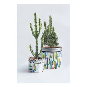 Komplet 2 tekstilnih prevlek za lončke Surdic Watercolor Cactus