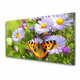 tulup.si Stenska plošča za kuhinjo Rastlina cveti butterfly narava 125x50 cm