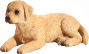 Mojo Labrador šteňa