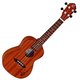 Ortega RU5MM Koncertne ukulele Natural