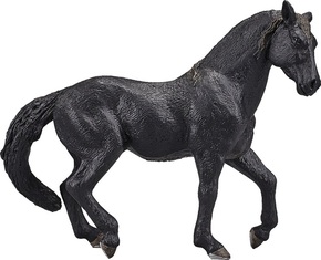 Mojo andaluzijski črni konj