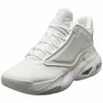 Nike Čevlji bela 46 EU Jordan Max Aura 4
