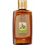 STYX Zeliščni vrtni šampon za normalne lase - 200 ml