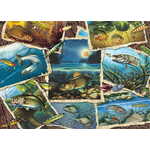 Cobble Hill Puzzle Slike rib 1000 kosov
